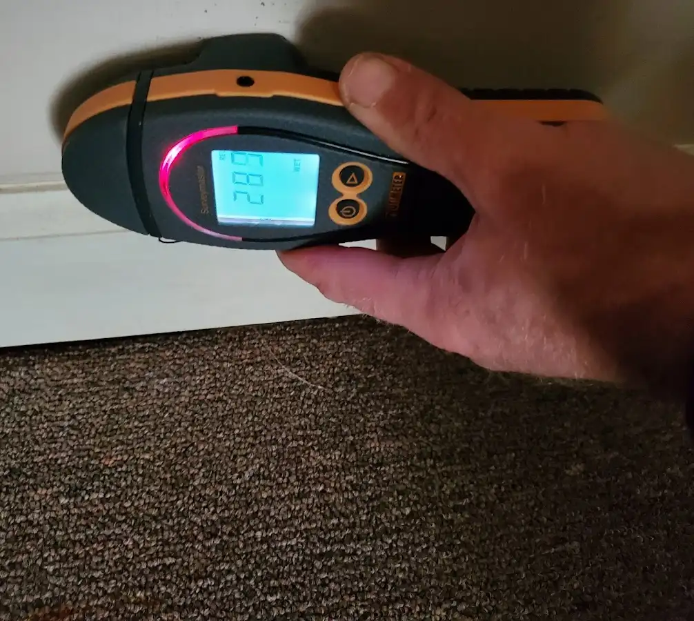 Moisture detection at baseboard during Sewage Cleanup & Sanitation in Hondo